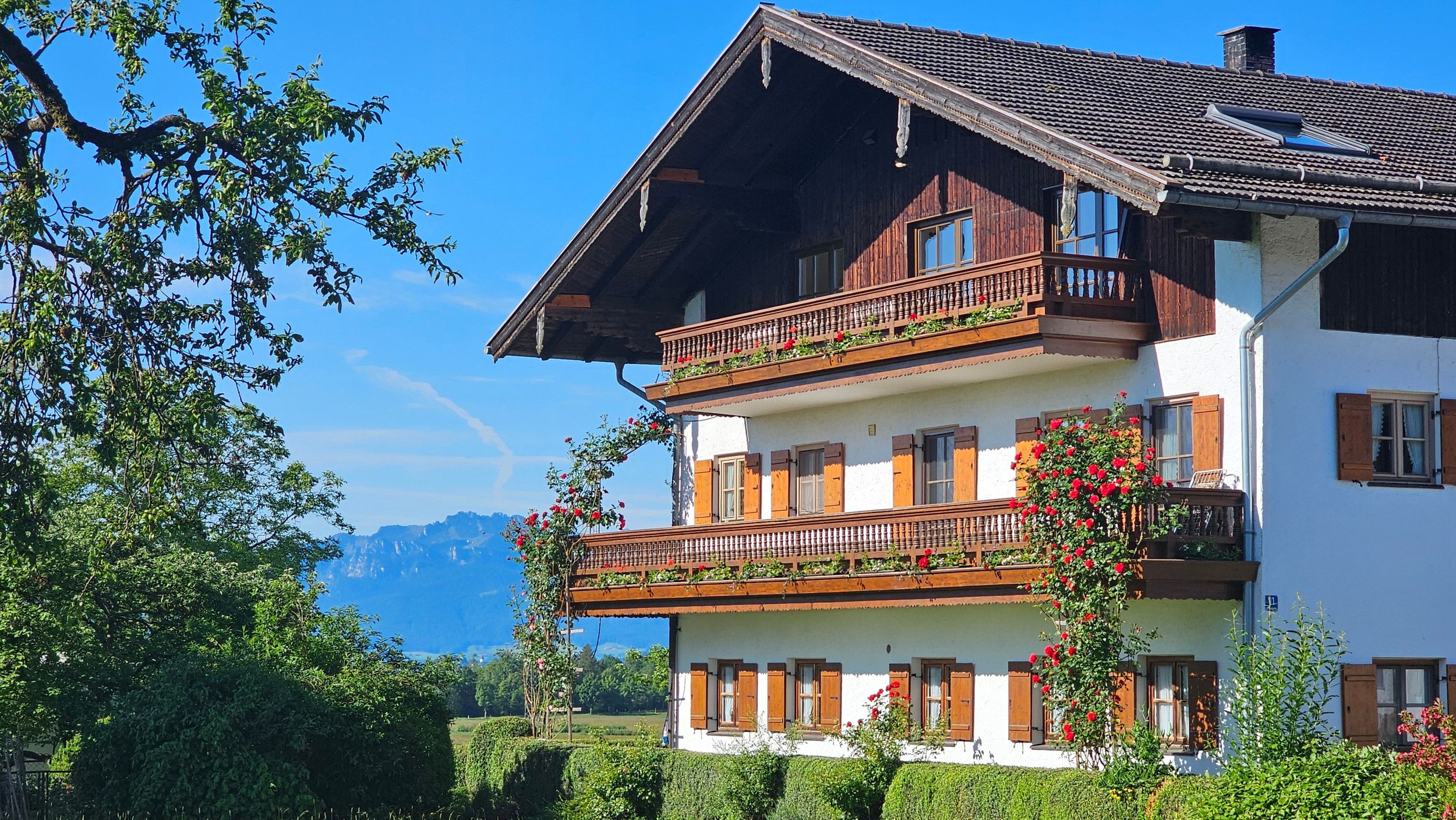 Moier-Hof Ostbalkon, Blick auf die Kampenwand