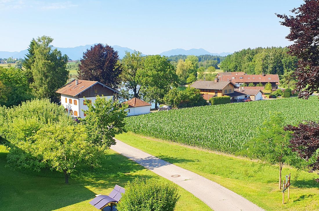 der Ausblick auf die Alz