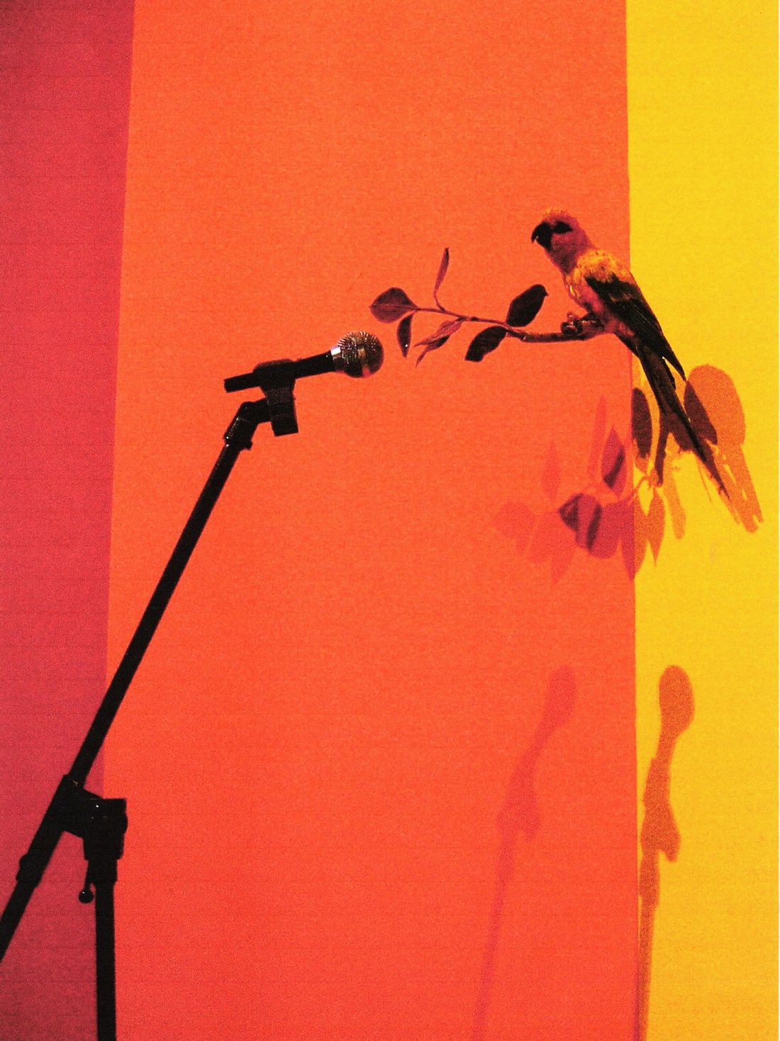 Ausstellungseröffnung