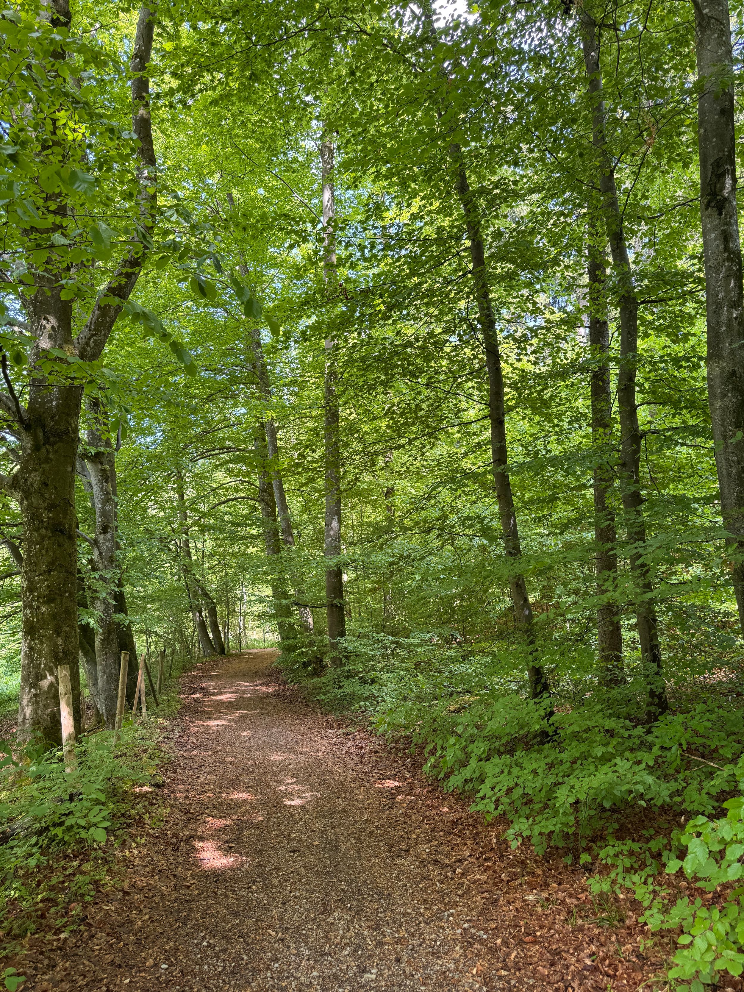 57594_brain_walk_60©privat, Thurner