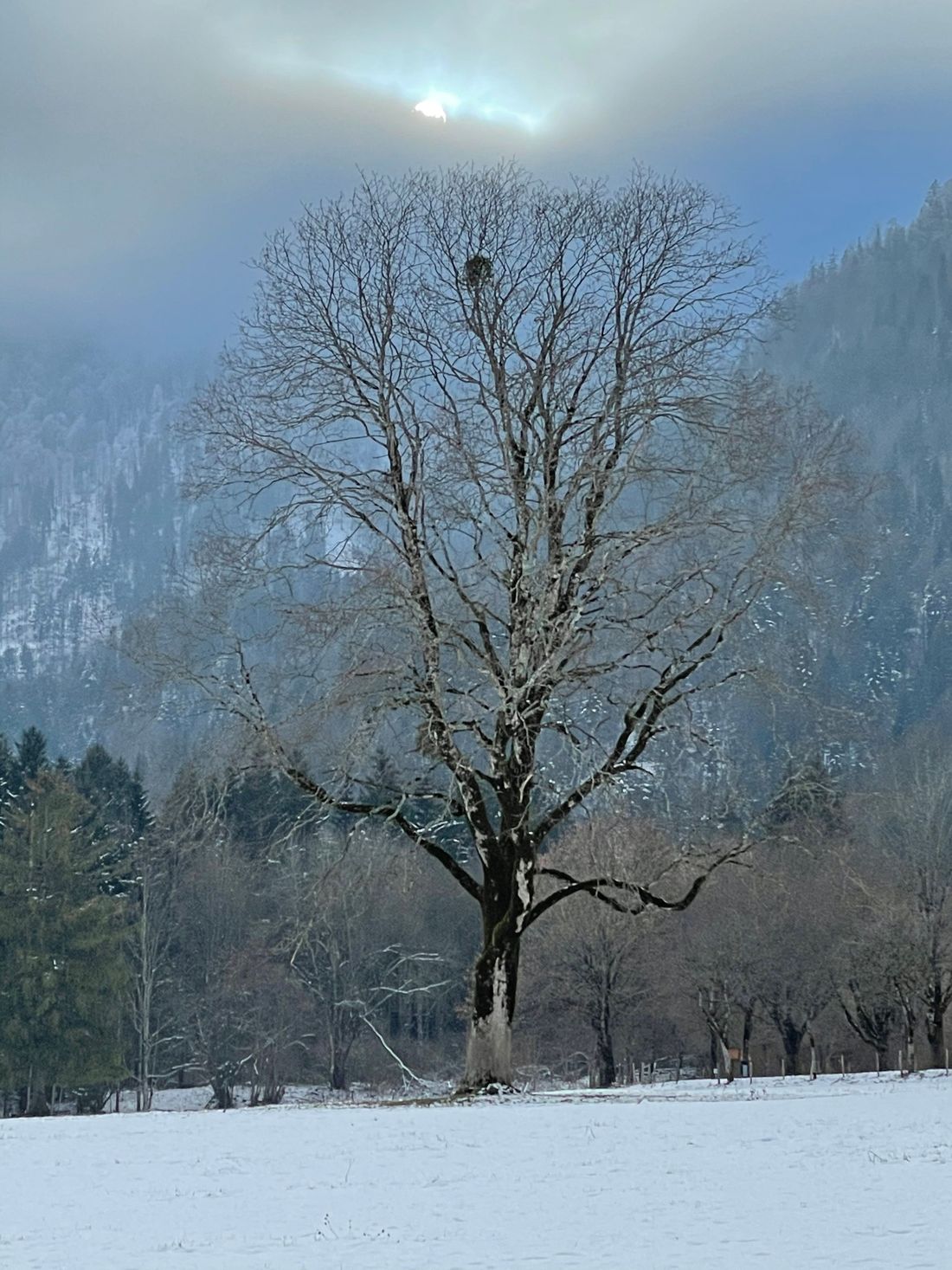 Bergpanorama Ettenhausen
