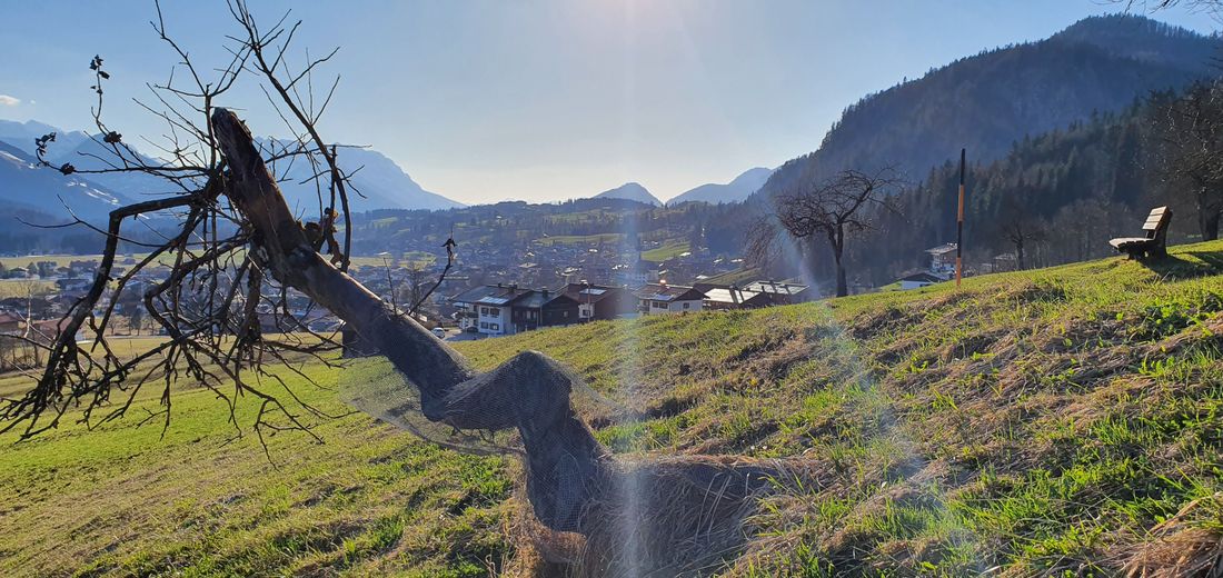 Natur am Pötschbichl