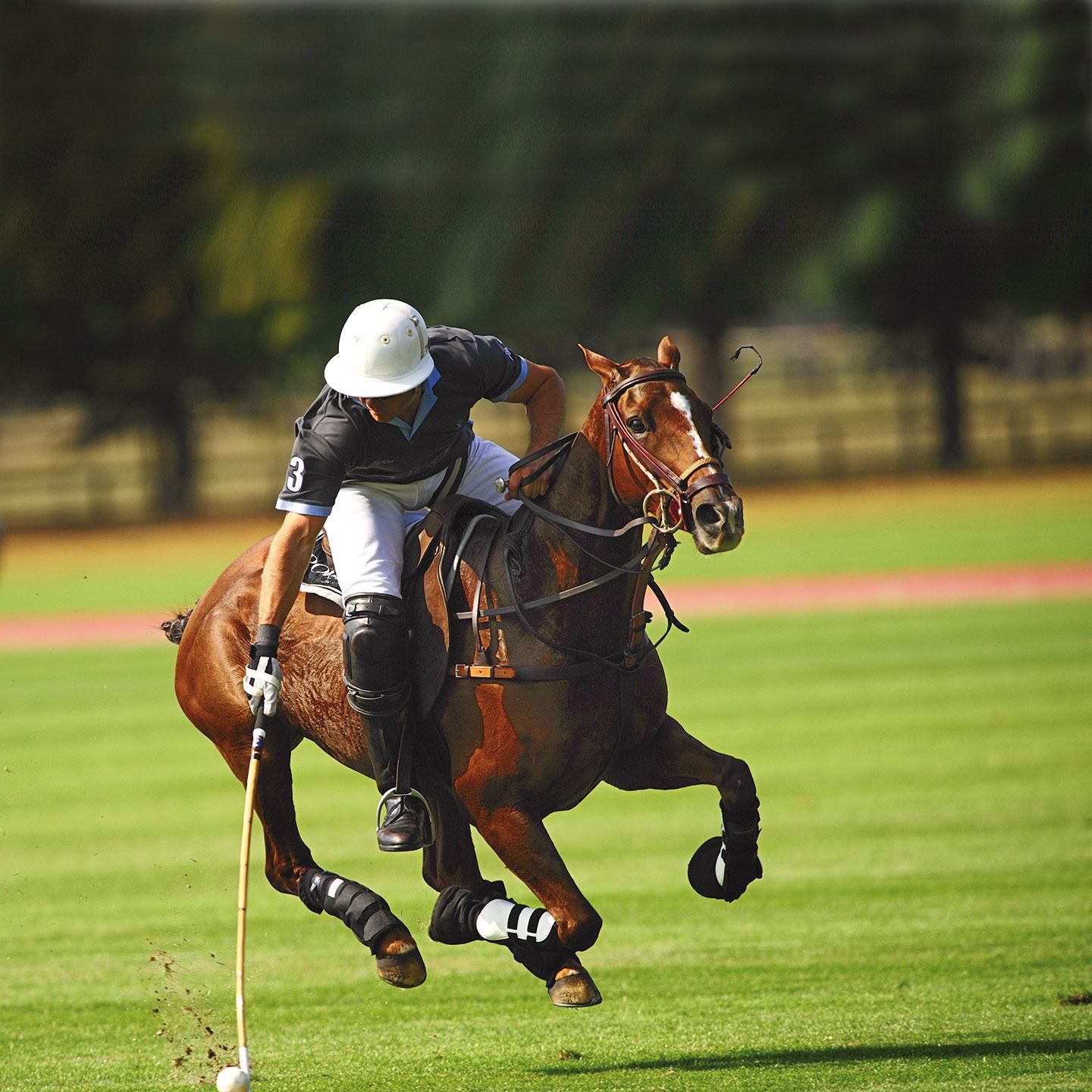 Polo Hotel Gut Ising