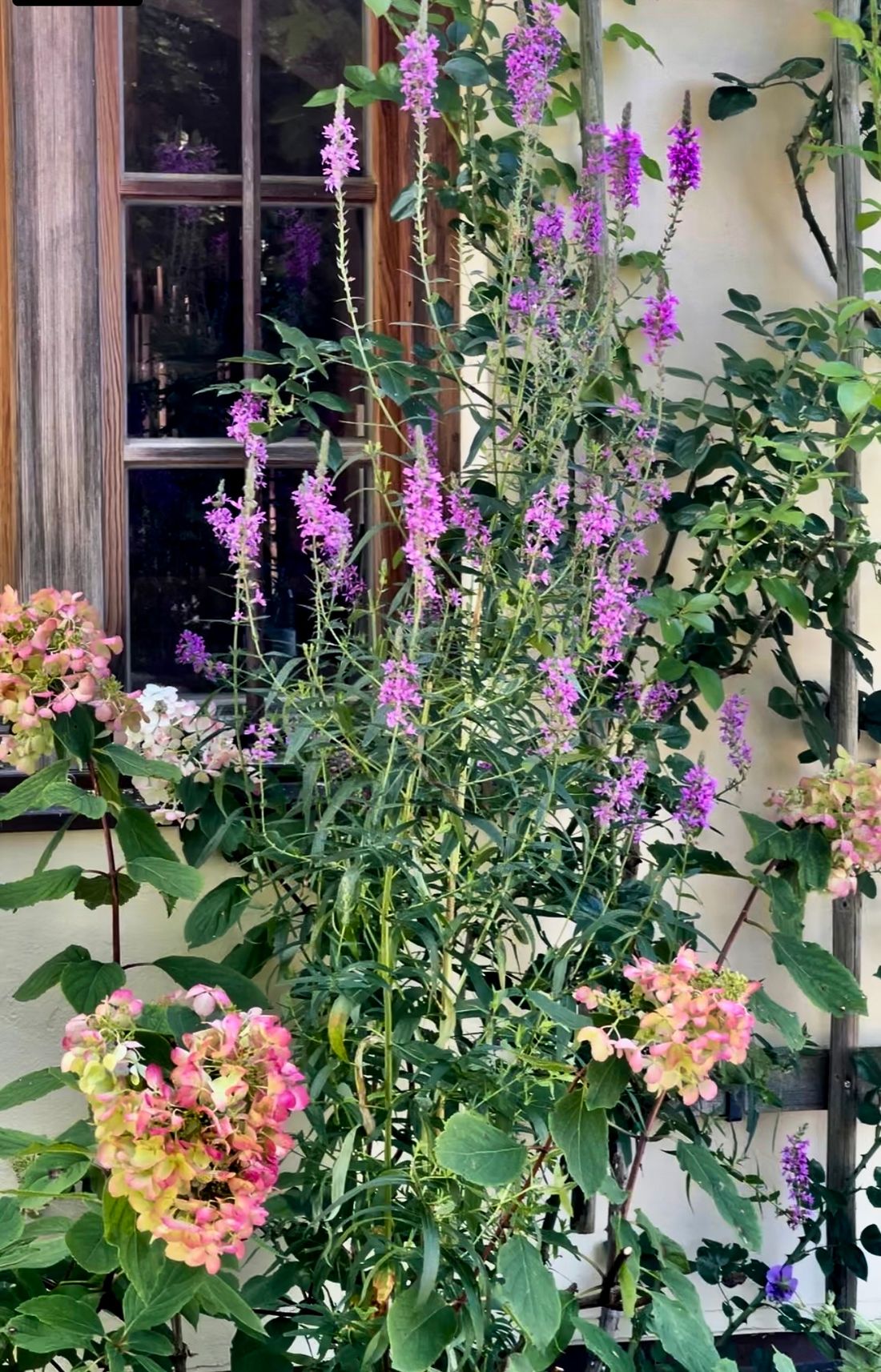 Zuhaeusl Aussenansicht