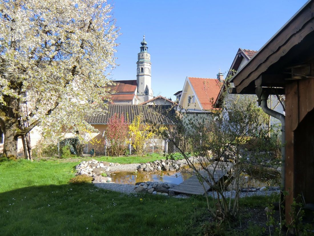 Garten und Teich