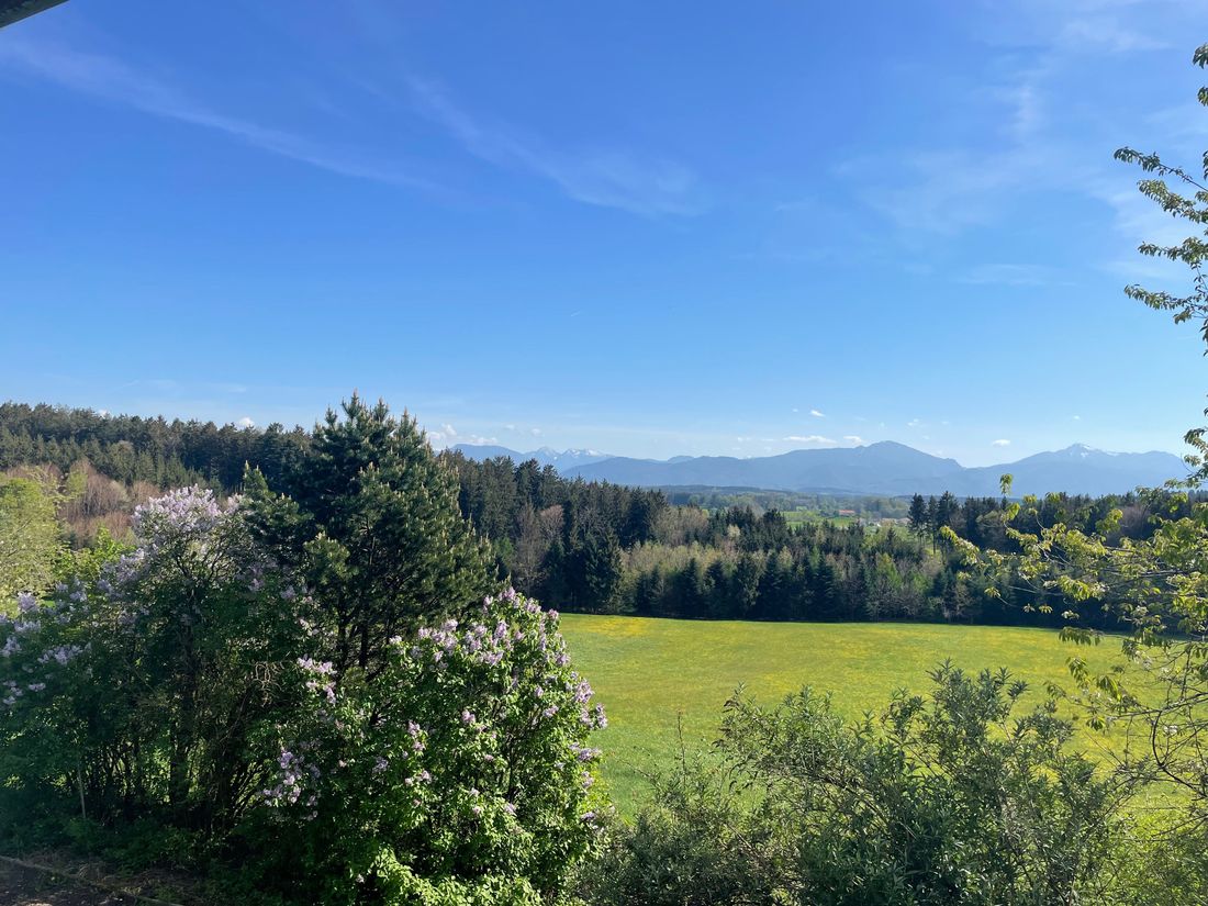 Bergblick