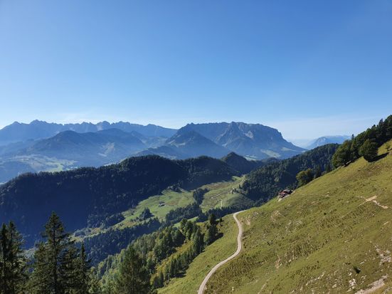 Weg zur Naringalm