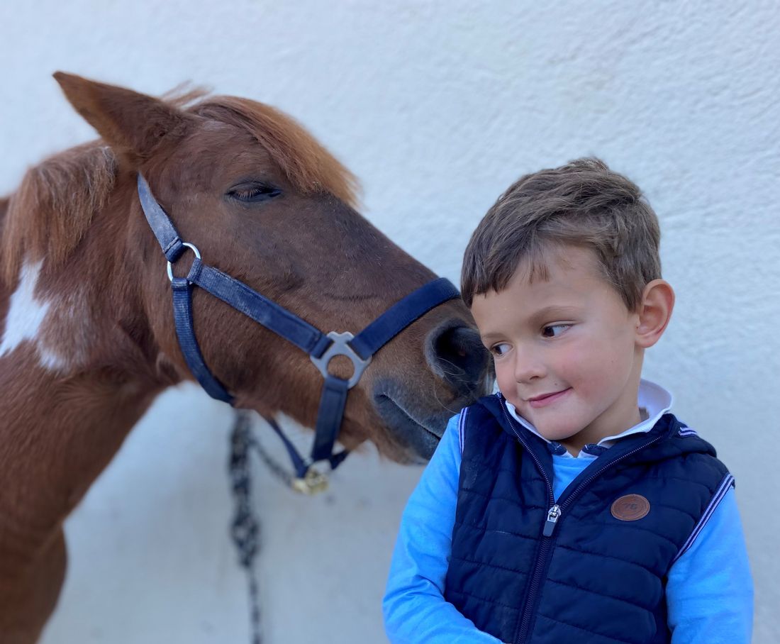 foto-ponyclub