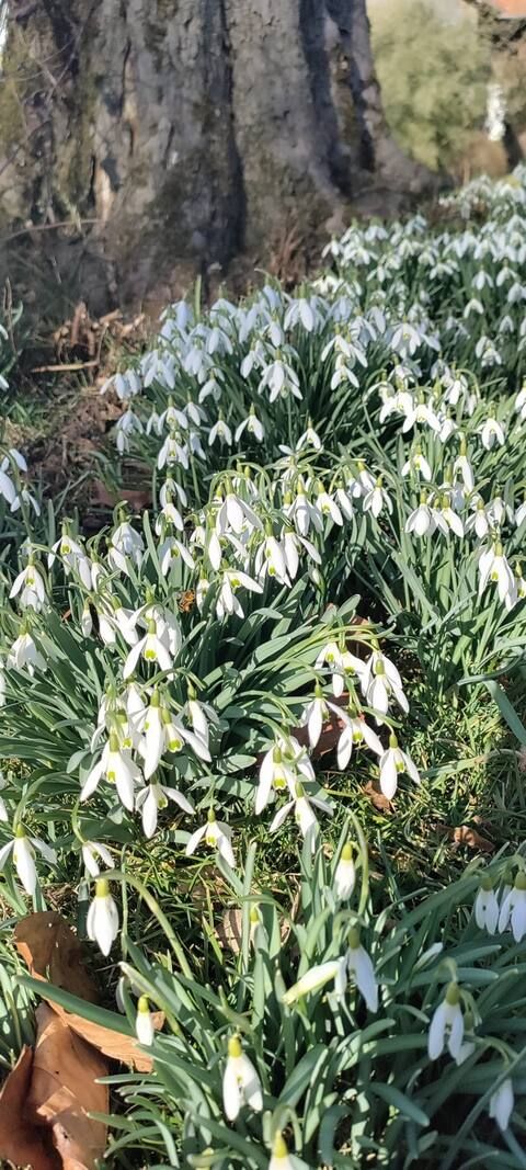 Frühling
