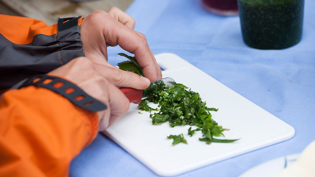 Kräuterwanderung mit Gabi Fietz-Bohleber