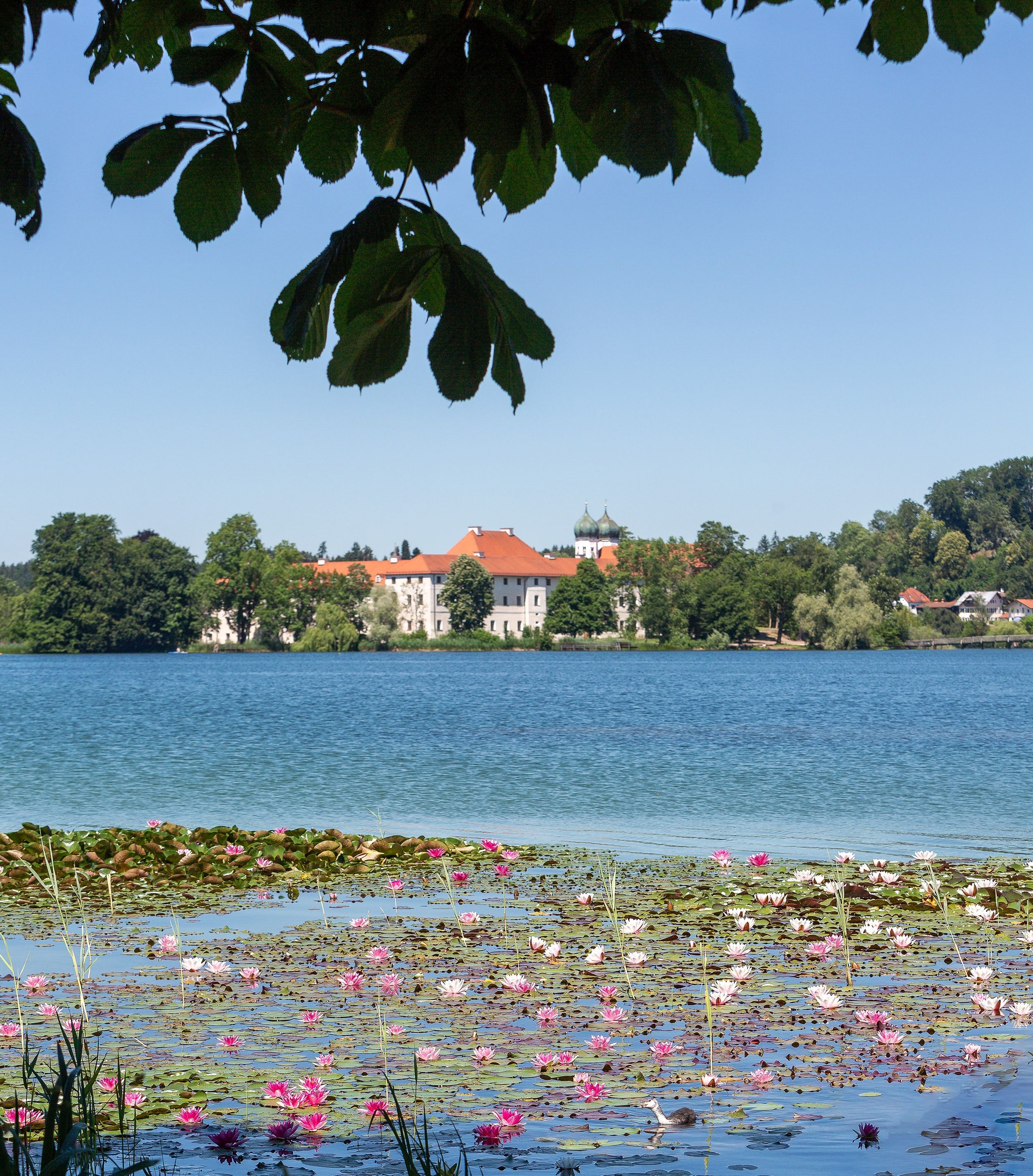 seerosengefluester-seite-22-wolfgang-gasser-2-2