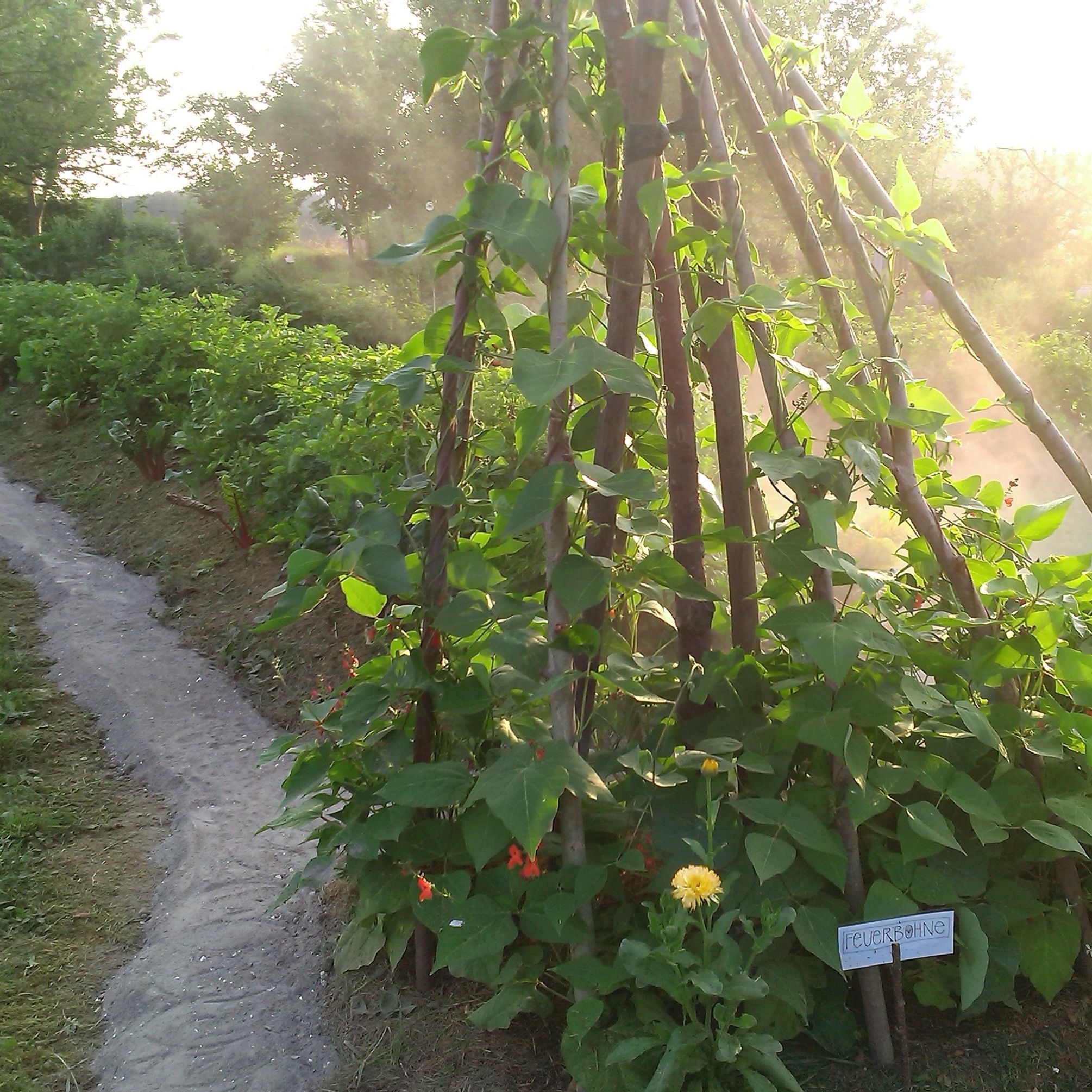 55925_herbstliche_permakultur_im_garten_erleben©privat