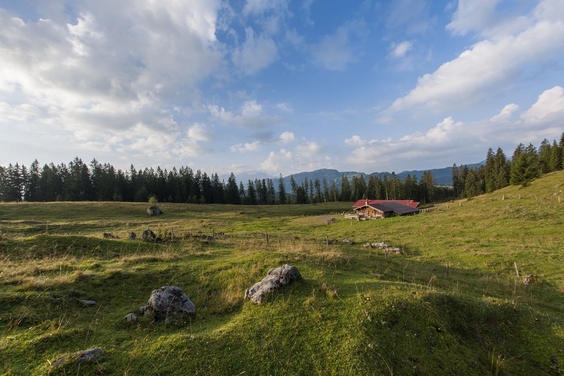 Hiking to the Finsterbachalm