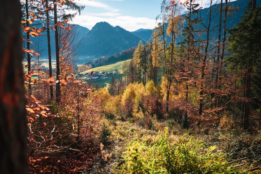 Ausblick auf der Zinnkopf Umrundung
