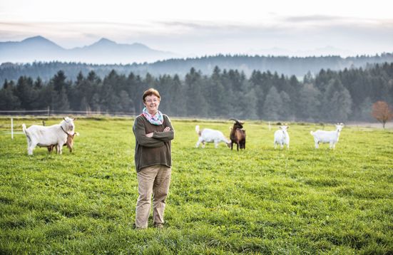 Von der Ziegenmilch zum Käse