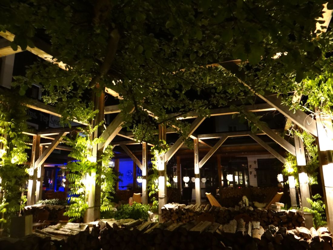 wine garden