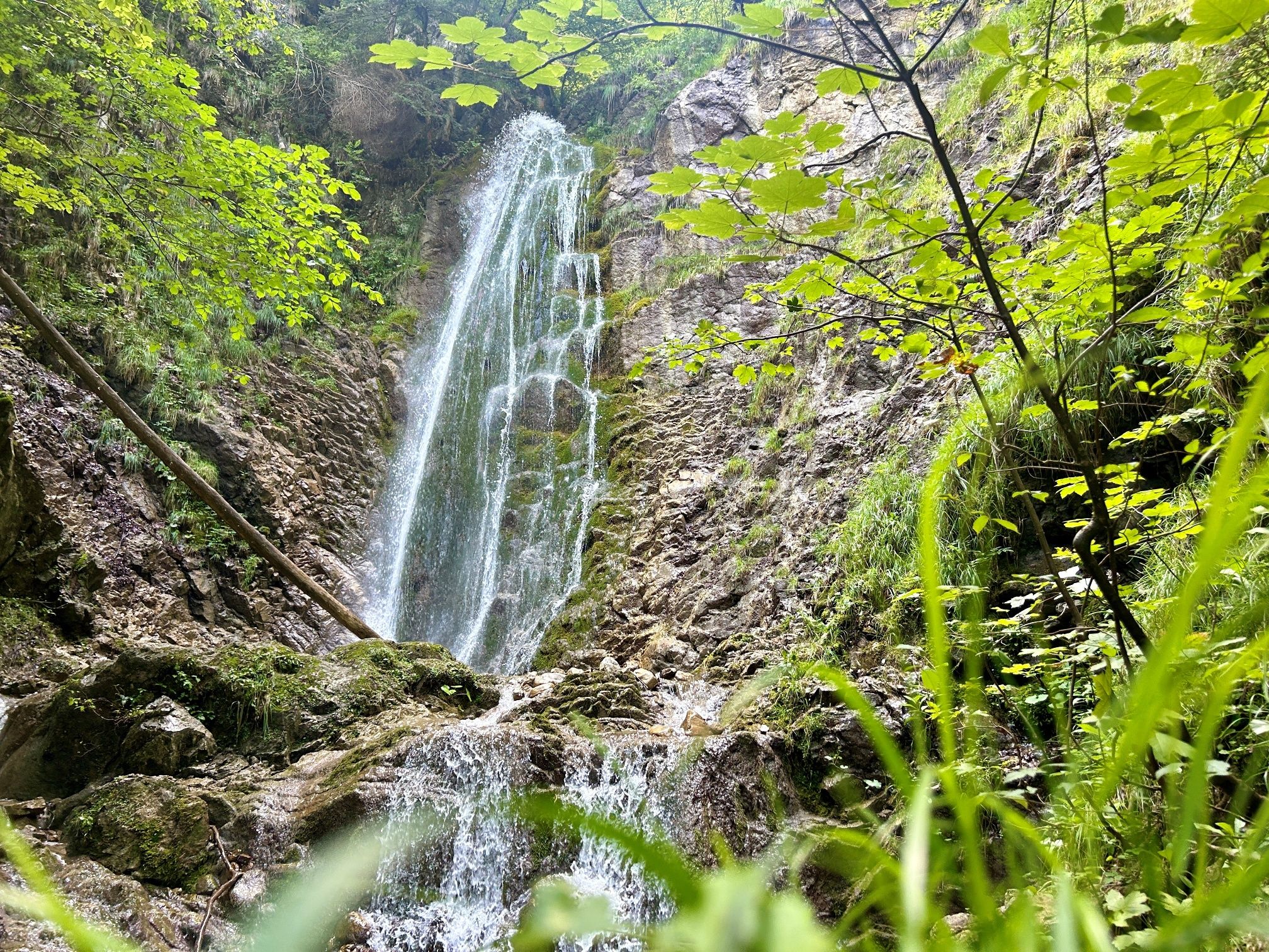 Einzigartige Natur am Wasserfall