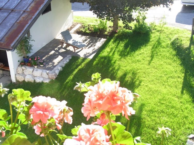 Gartenblick.jpg