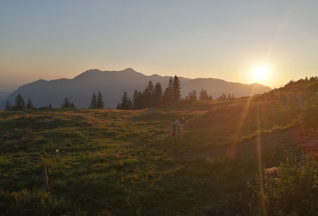 Sonnenaufgang auf der Stoibenmöseralm