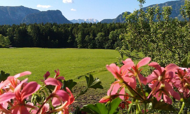 view from the balcony