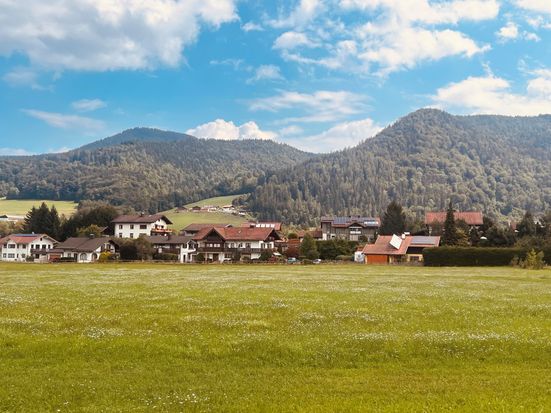 Blick aufs offene Feld
