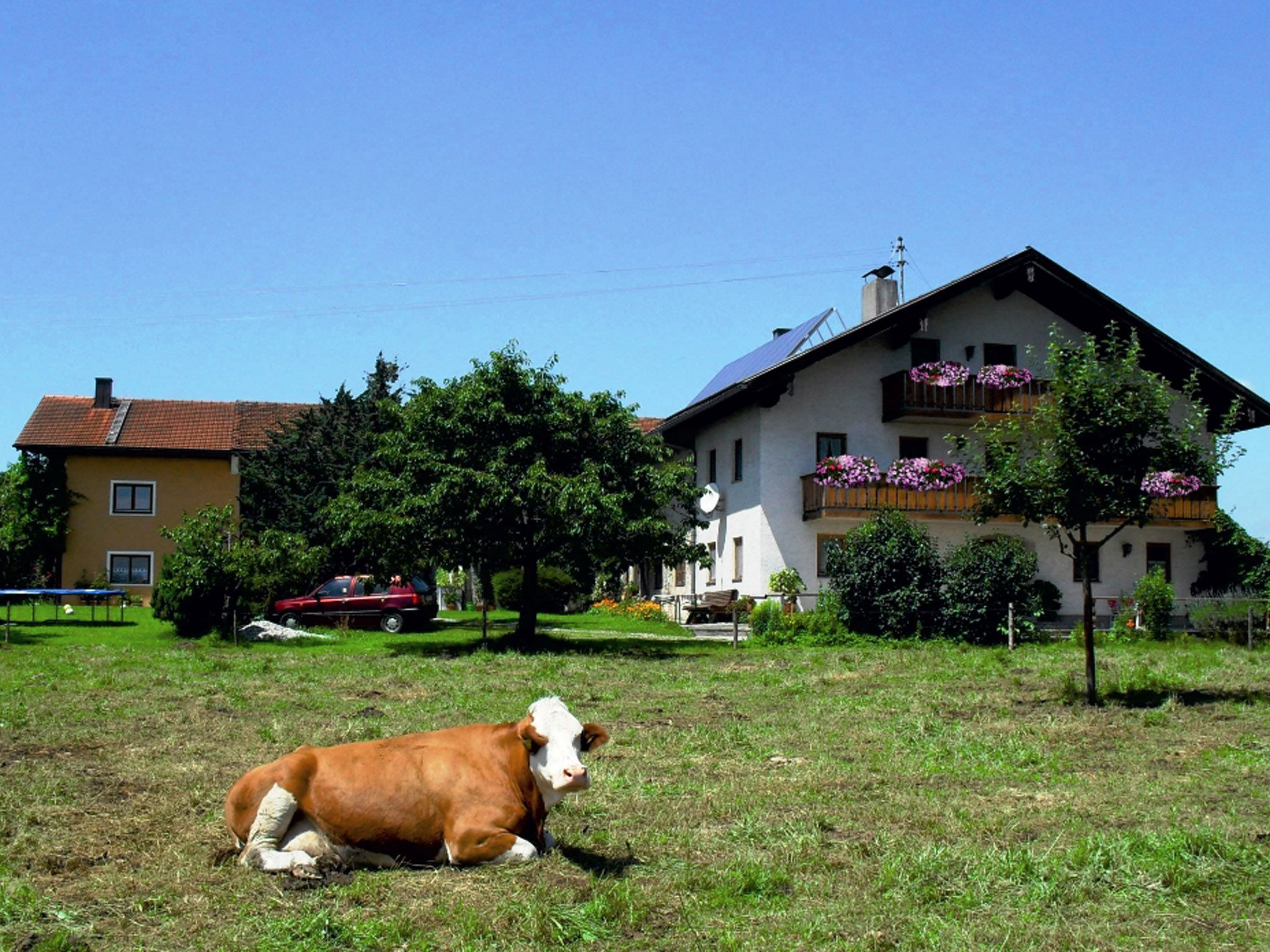 Hausansicht