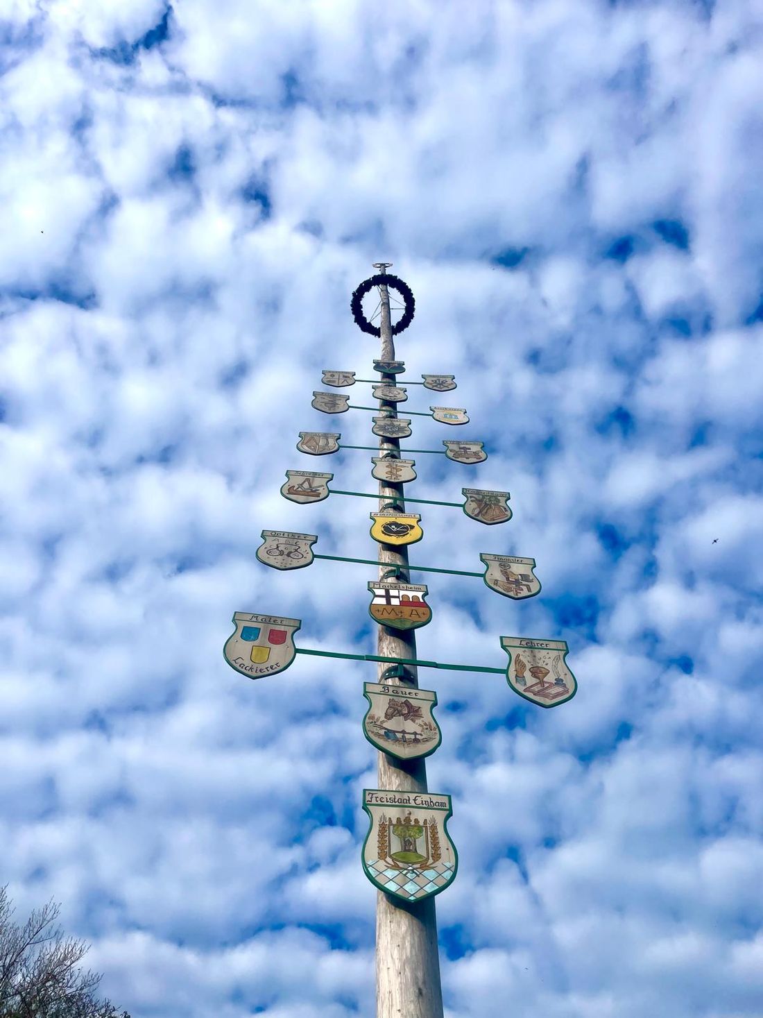 Maibaum in Watte gepackt