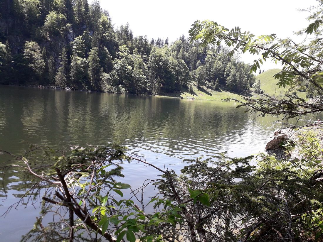 Taubensee