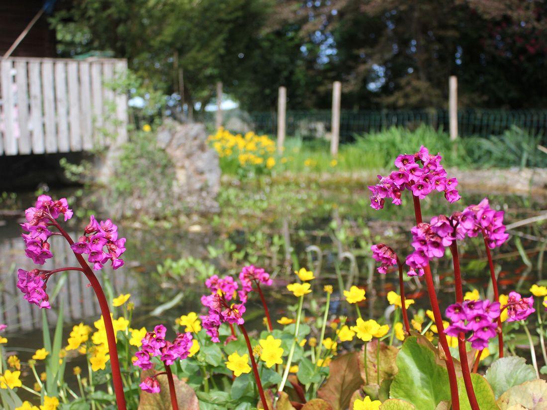 Garten