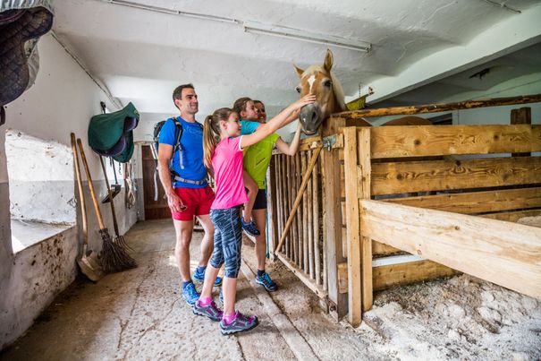 Urlaub auf dem Bauernhof, eine Familie besucht den Pferdestall
