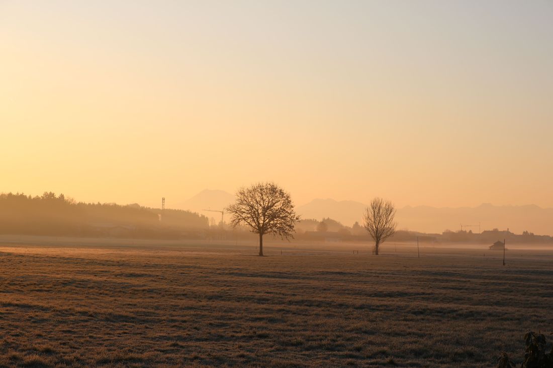 Aussicht am Morgen