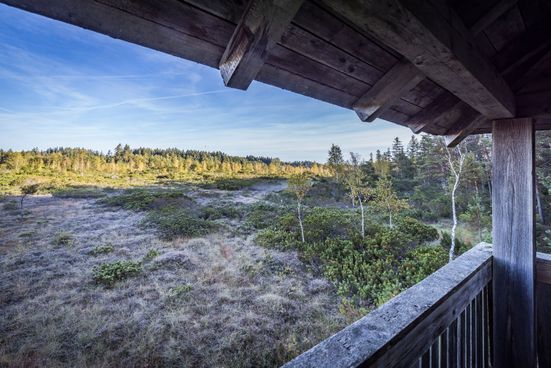 Beobachtungsplattform_Latschenfeld_Seebruck