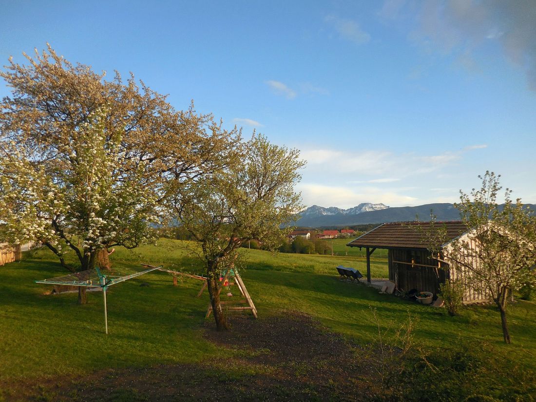 Rund um den Hof