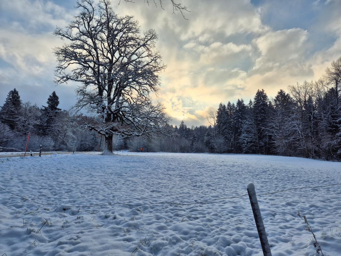 Ländlich gelegen, aber mit vielen Ausflugszielen in der Nähe.