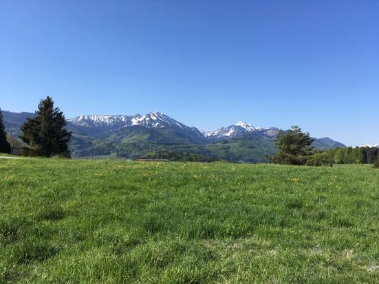 Panoramablick