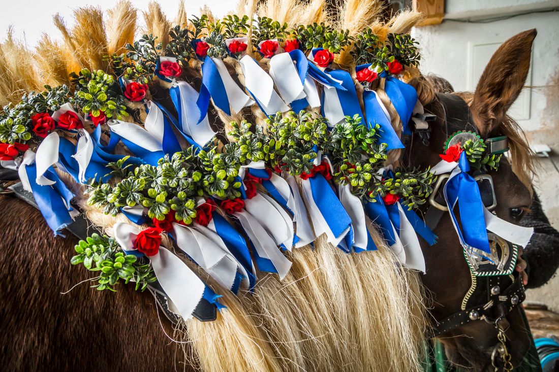 Detail of the horse's mane with jewelry for the Michaeliritt