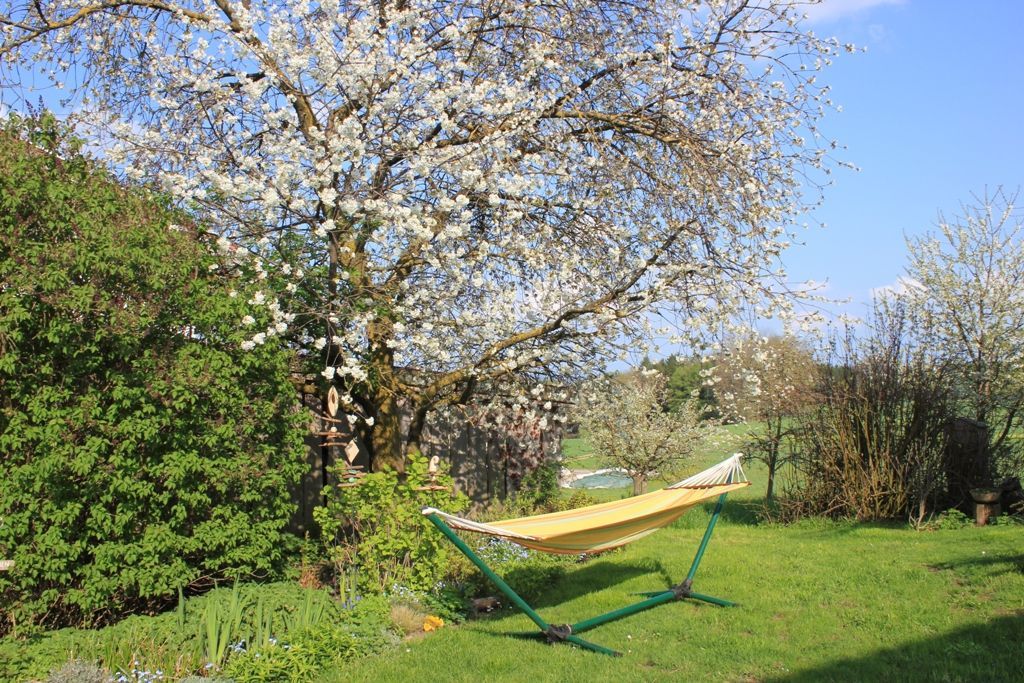 Entspannung im Garten