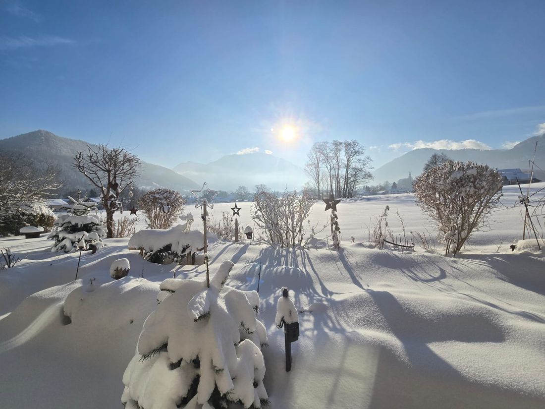Berg Panorama-Blick und Garten mit Neu-Schnee der Ferienwohnung Hörndlwand in Ruhpolding