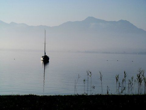 Blick vom Haus auf den See