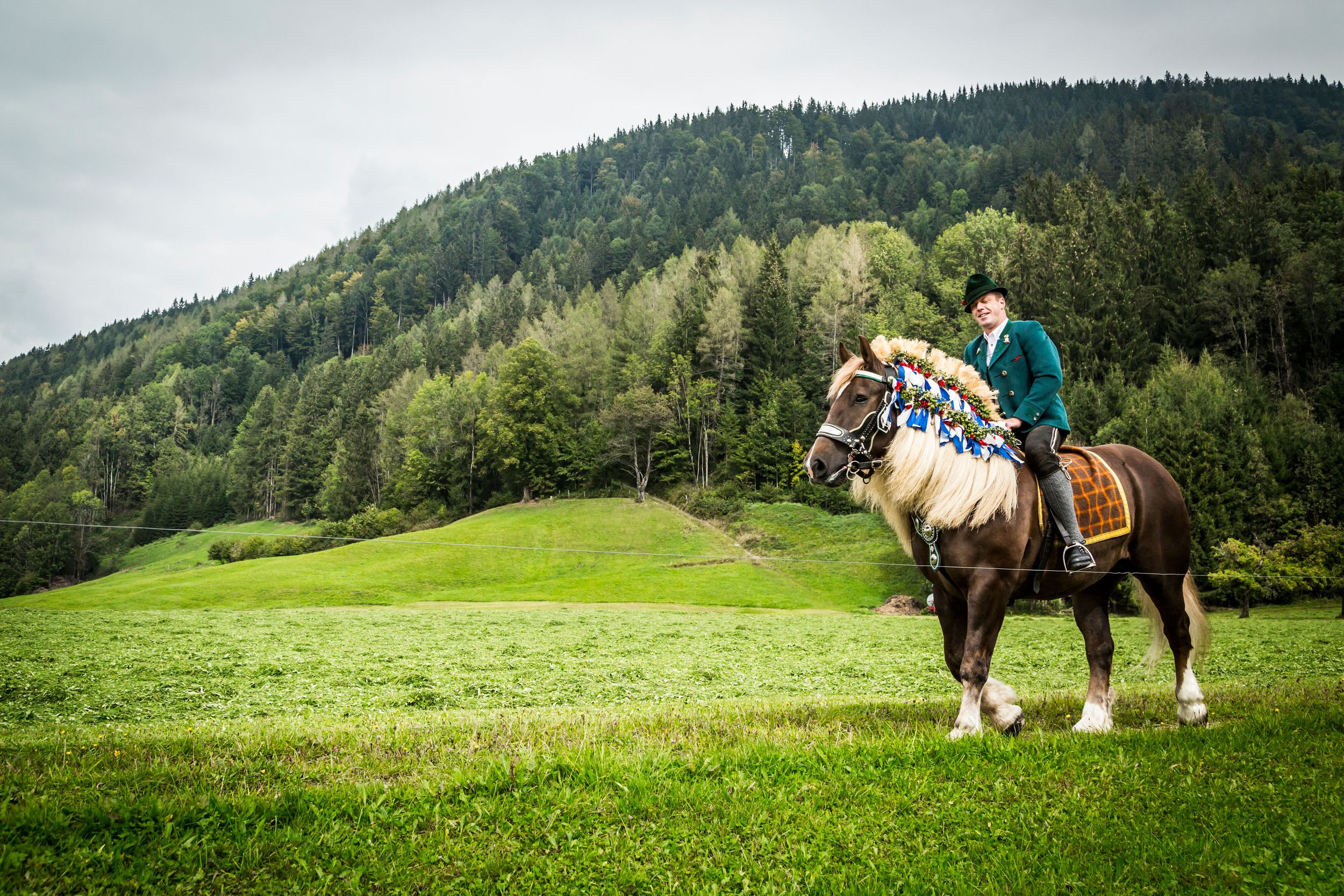 Rider on decorated horse on the meadow on the way to Inzell