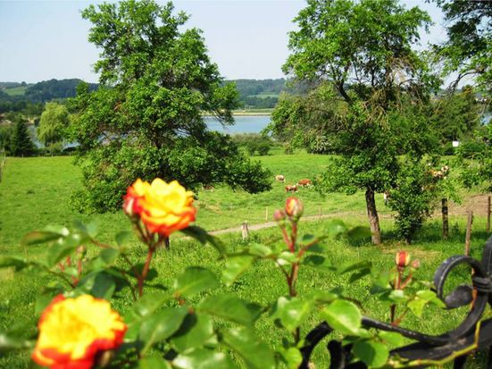 Seeblick von der Terasse
