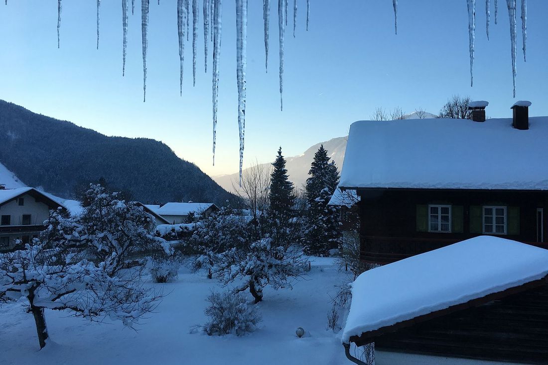 Blick aus dem Haus nach Norden