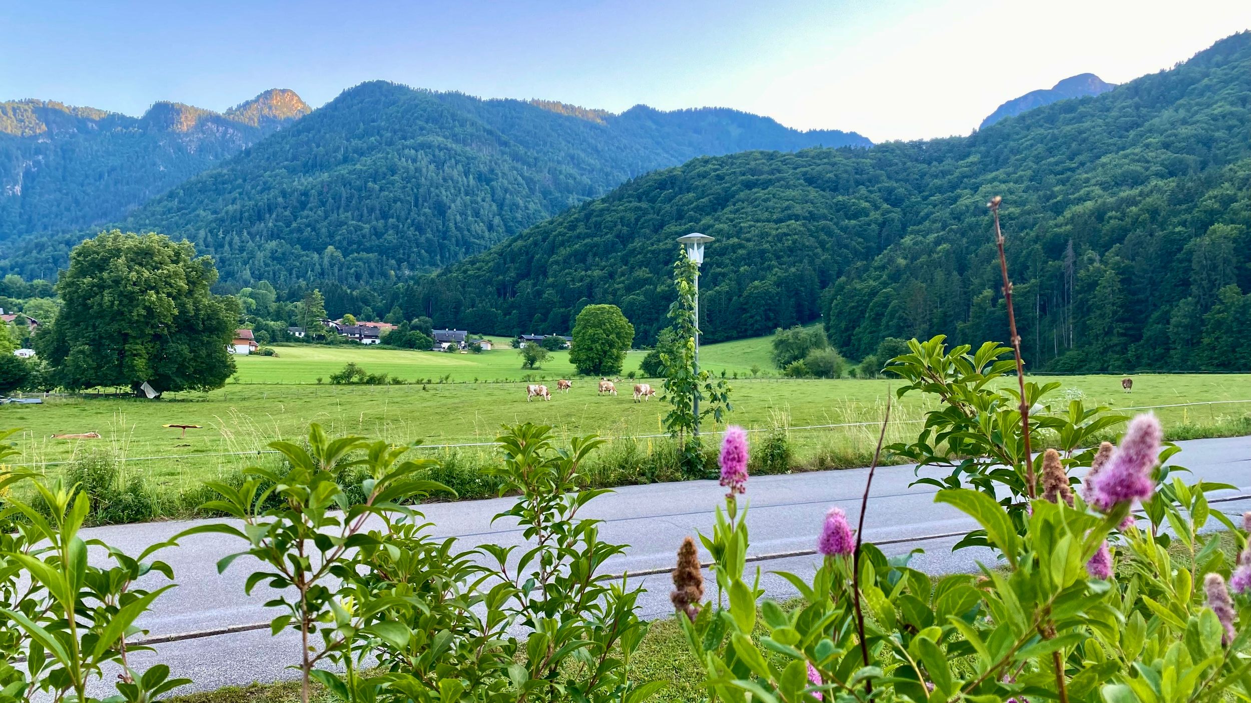 Ausblick von der Terrasse