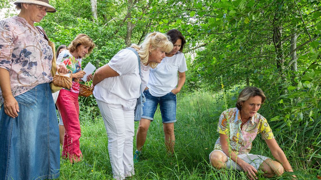 Jahresausbildung Naturmittel