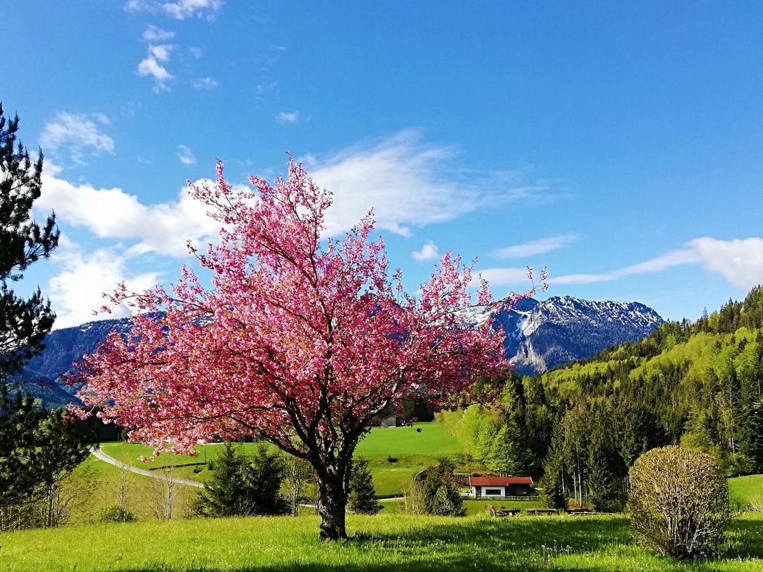 Aussicht