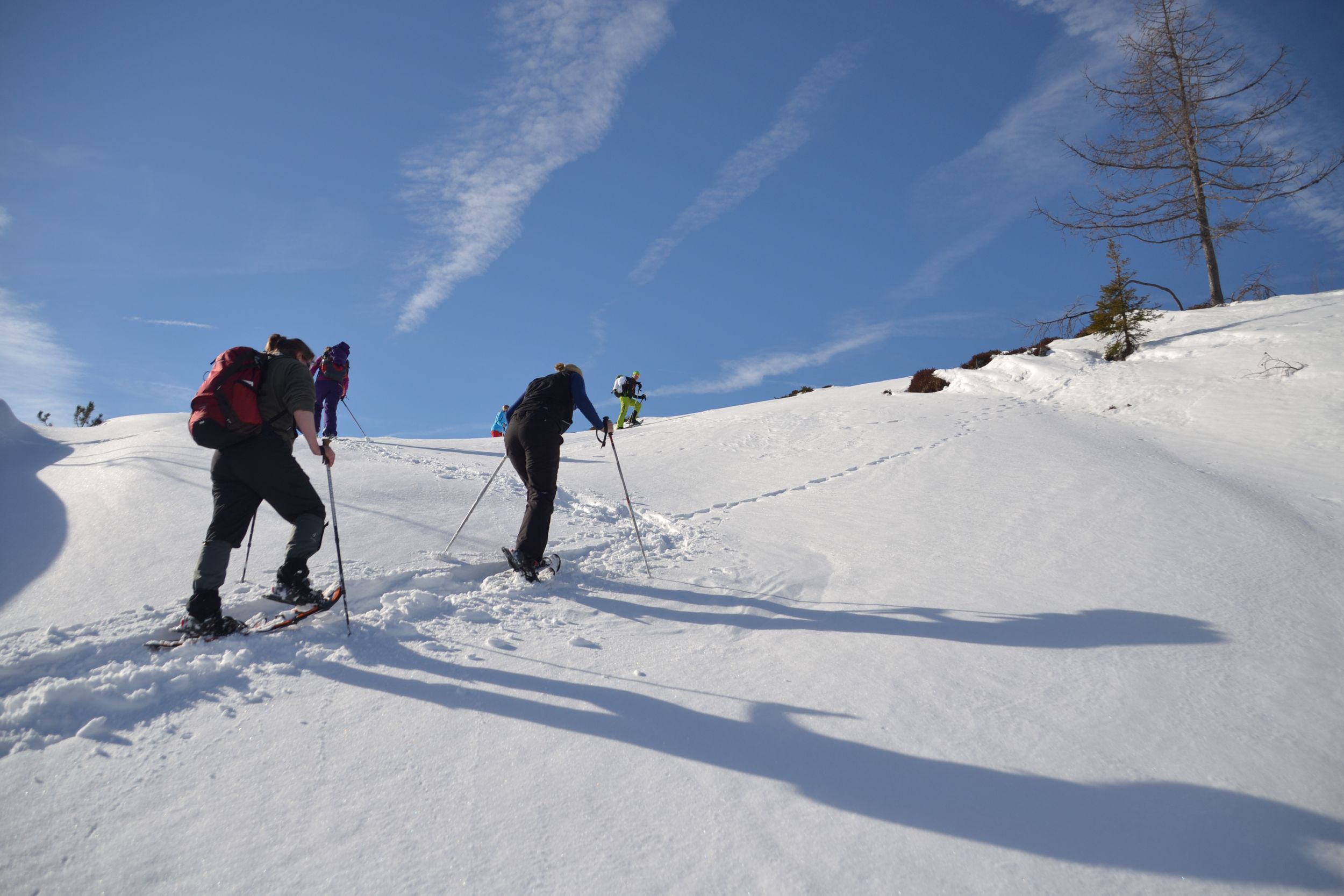Schneeschuhwanderung mit Walter Wolfenstetter