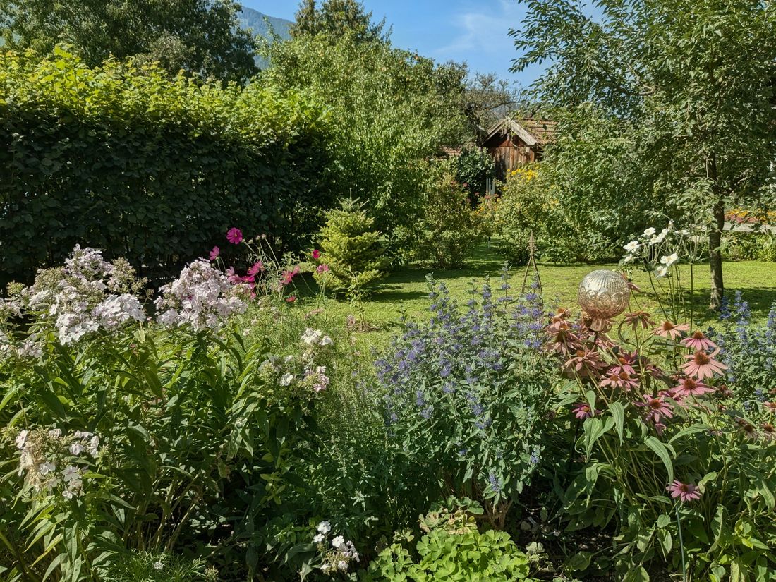 Staudengarten