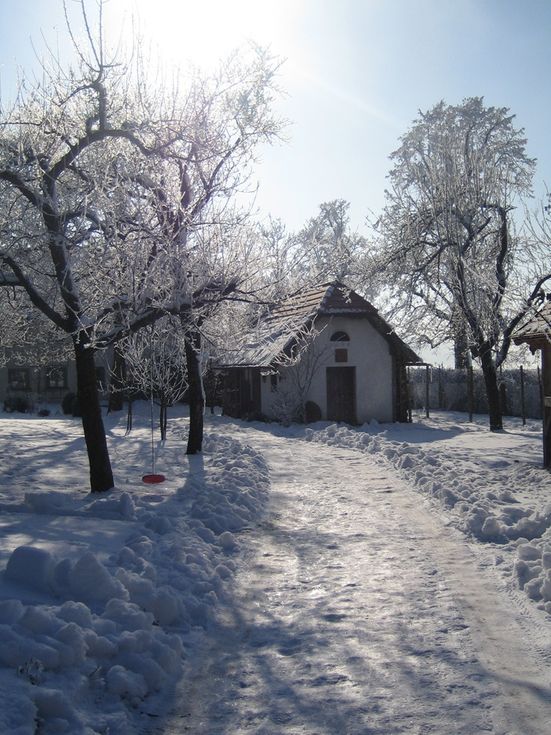 Winter in unserem Garten