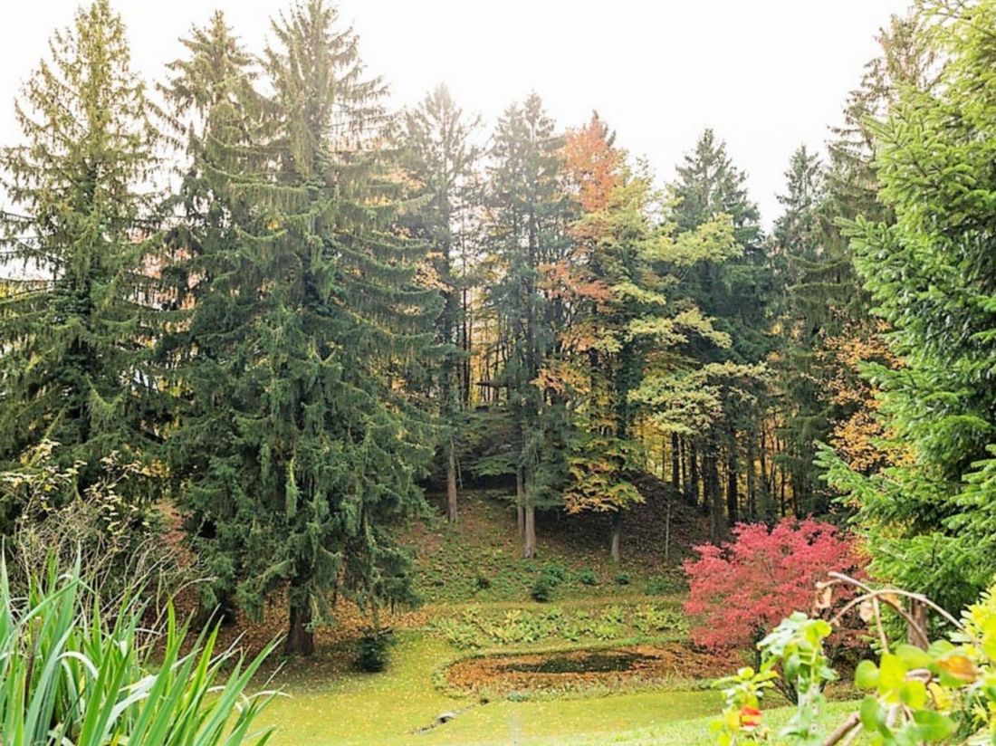 Wald