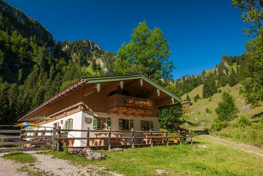 Nesslaueralm